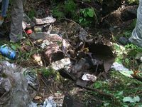 100828フジスカ5.jpg