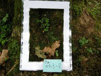 DSCN2862.JPG