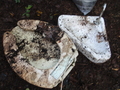 P9250347.JPG