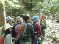 P9250372.JPGのサムネール画像