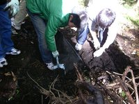 101105_y110.JPG