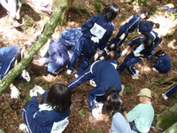 P8260272.JPG