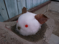 110212_y004.JPG