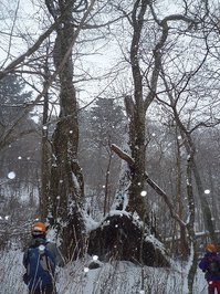 110304_s029.JPG