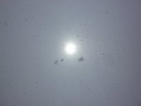 110304_s033.JPG