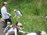 活動3.jpg