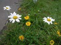 120623_s040.jpg