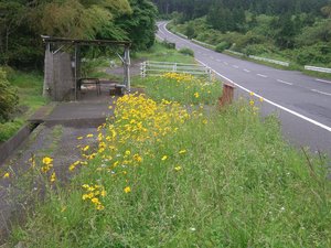 R469岩倉1.jpg