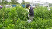 120714_s019.JPG