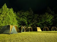 120807_y322-2.jpg
