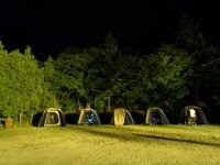 120807_y354-2.jpg
