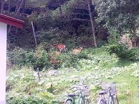 120920_s002.jpg