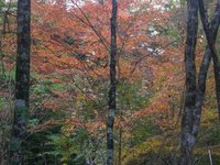 121020_s115.JPG