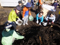 DSCF2277.JPG