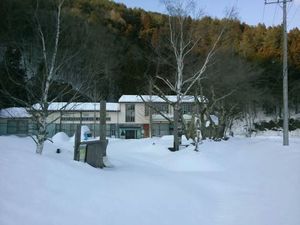 IMG_31969199996653.jpeg