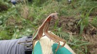 160820s_010.JPG