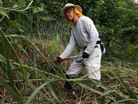 160820s_017.JPG