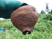 160820s_037.JPG