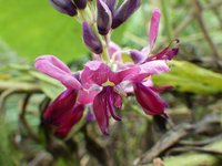 160820s_043.JPG