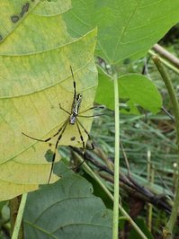 160820s_045.JPG