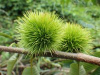 160820s_049.JPG