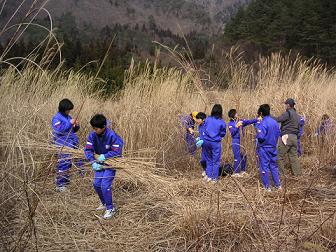 �q�ǂ����������������́A���₵�̗��̊������Ƃ̉����Ɏg��ꂽ