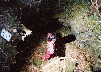 ��^�̗n����^