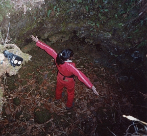 ���a�S���̗n����^