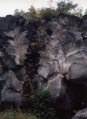 ��W���R���m�̗n��X�p�C���N��