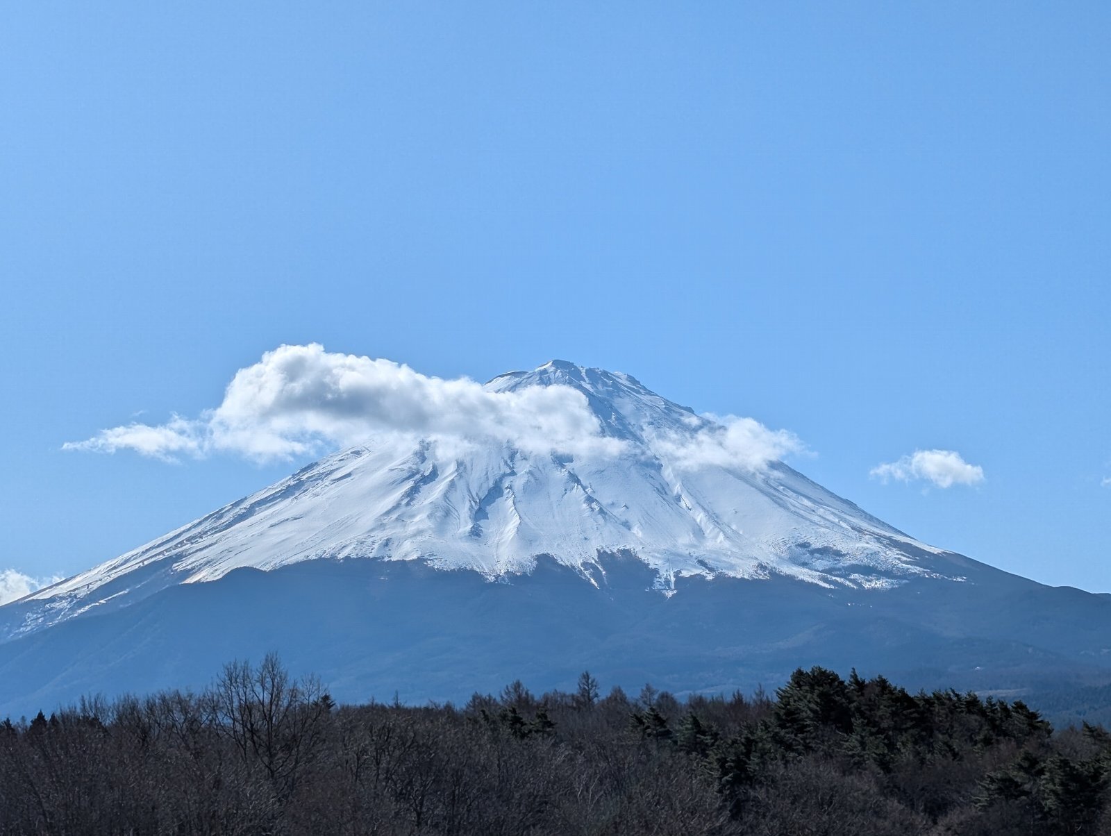 今日の富士山