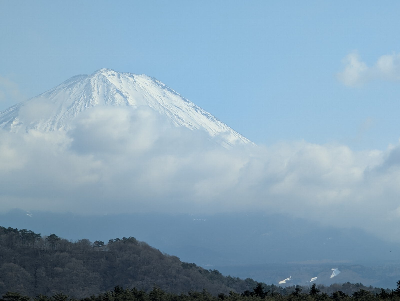 今日の富士山