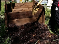 compost2.jpg