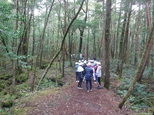 191031y_005.JPGのサムネイル画像