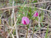 240412s_002.JPG