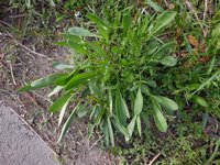 240412s_028.JPG