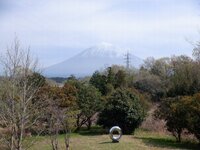 240413s_001.JPG