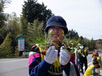 240413s_021.JPG