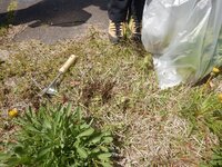 240413s_061.JPG