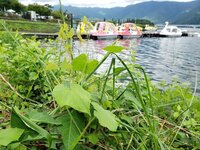 240713y_036.jpg