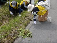 250412s_042.JPG