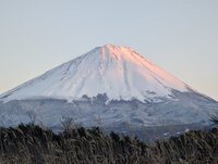 260304fujisan2.jpg