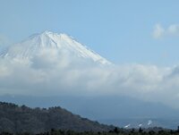 260315fujisan.jpg