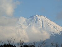 260316fujisan.jpg