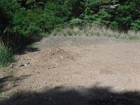 DSCF2247.JPG