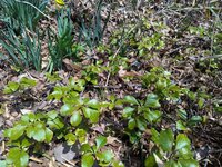 260329y_002.jpg