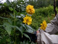 260905y_008.JPG