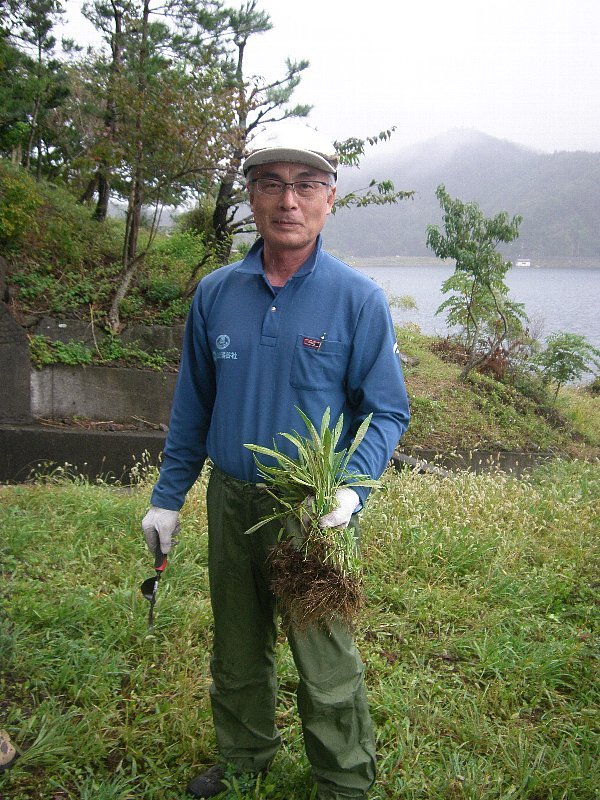 JATA 日本旅行業協会のみなさんと外来植物の駆除活動を実施しました！！