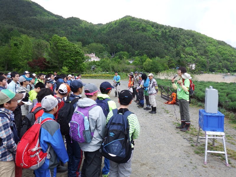 日本大学豊山中学校1年生の皆さんと外来種の駆除活動を行いました！
