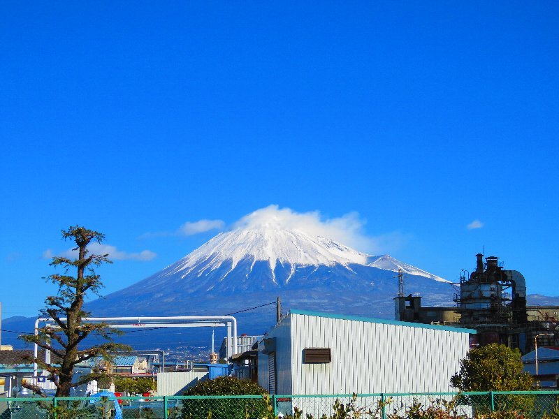 なんでも富士山2017